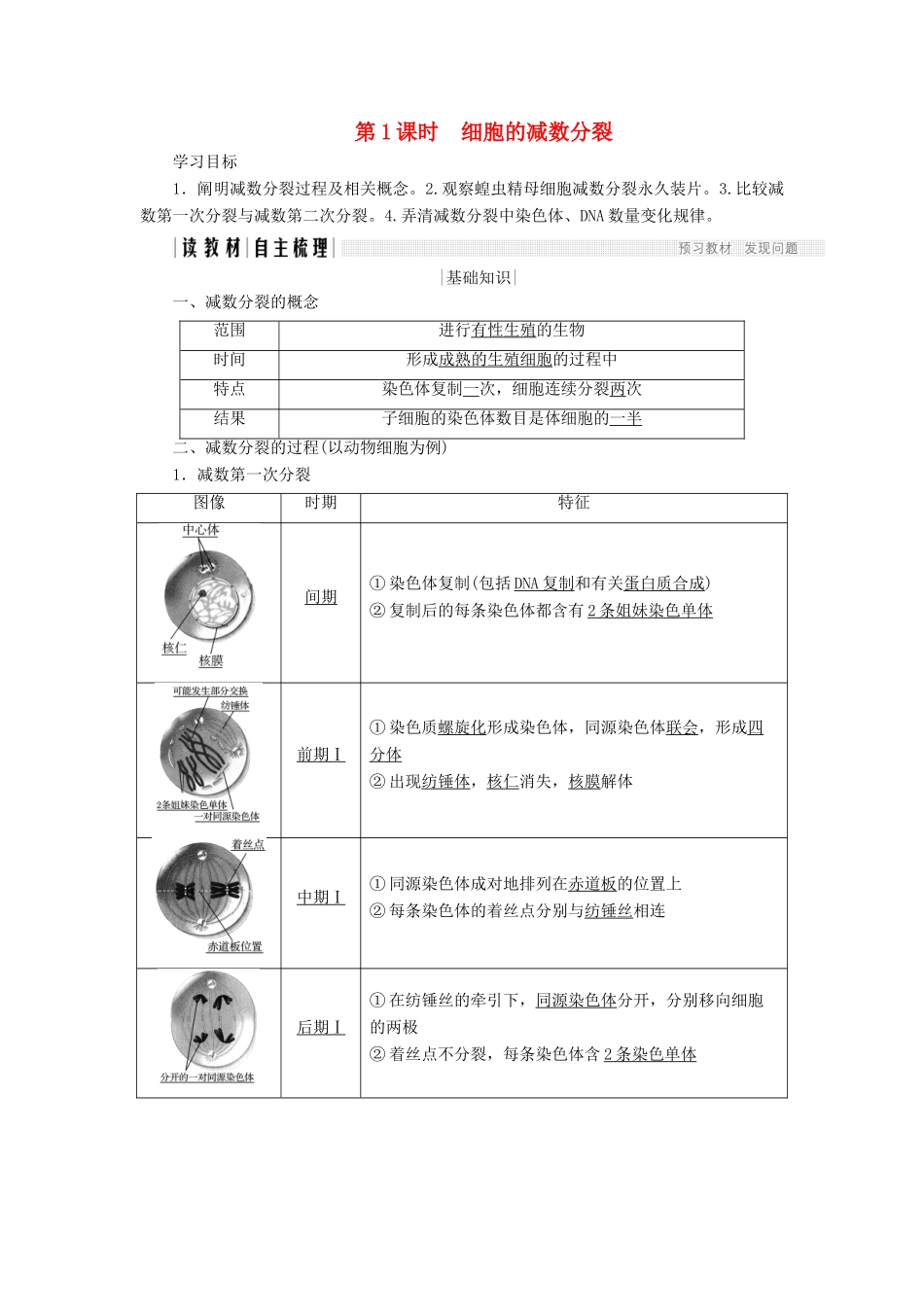 高中生物 第二章 减数分裂和有性生殖 第1课时 细胞的减数分裂学案 苏教版必修2-苏教版高一必修2生物学案_第1页
