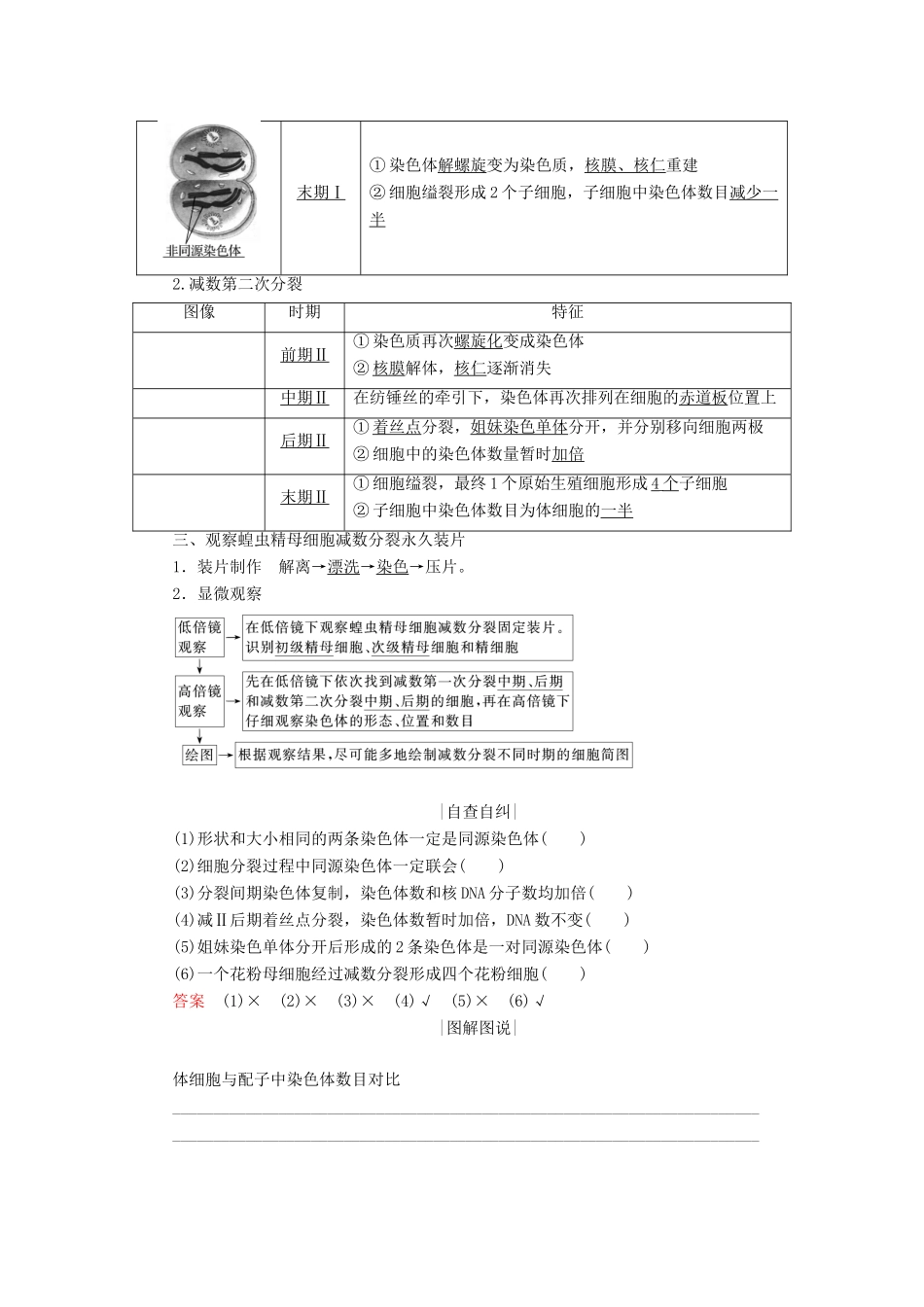 高中生物 第二章 减数分裂和有性生殖 第1课时 细胞的减数分裂学案 苏教版必修2-苏教版高一必修2生物学案_第2页