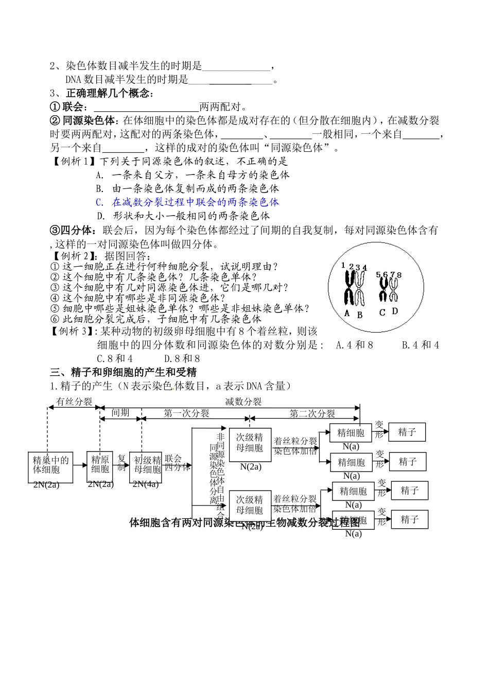 高中生物：2-3 染色体与遗传（减数分裂） 学案浙科版必修2_第2页