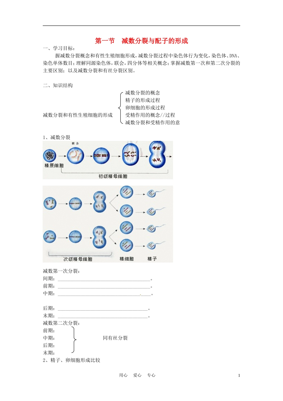 高中生物《减数分裂与配子形成》学案5 中图版必修2_第1页