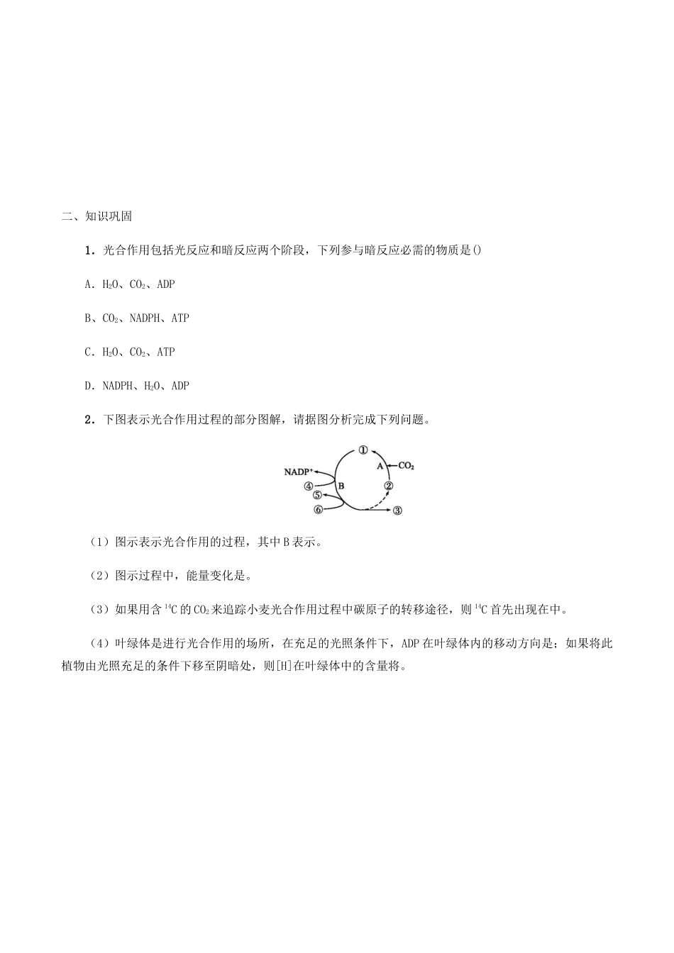 高中生物 第四章 细胞的代谢 第四节 碳反应学案 北师大版必修1-北师大版高一必修1生物学案_第2页