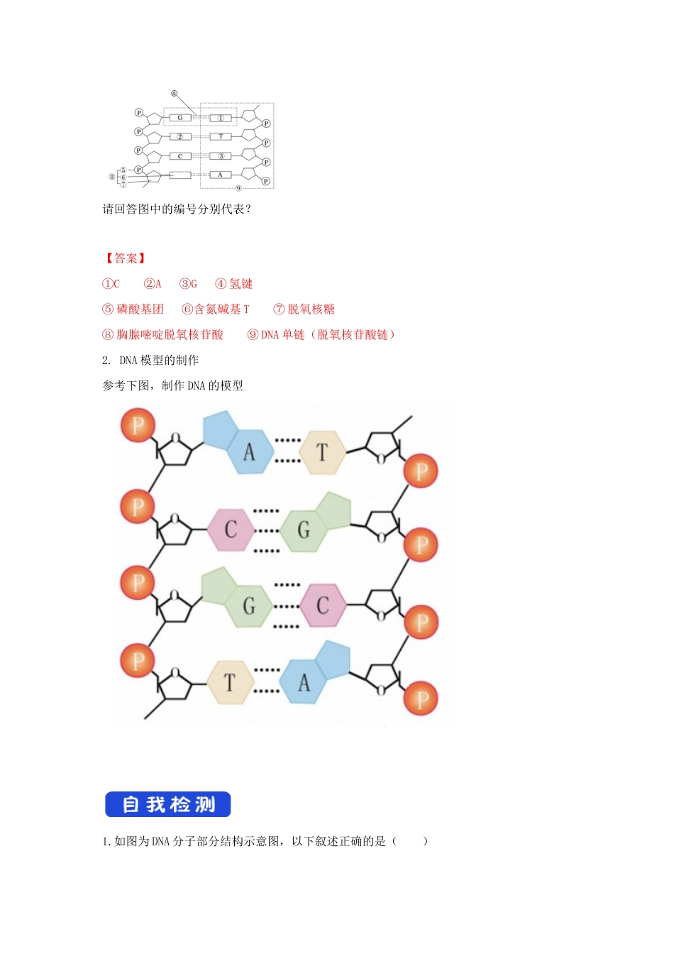 高中生物 第三章 遗传的分子基础 第二节 遗传信息编码在DNA分子上学案（2）浙科版必修2-浙科版高一必修2生物学案_第2页