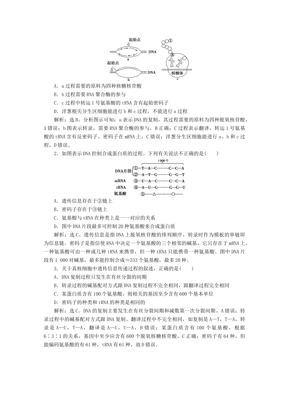高中生物 第四章 遗传的分子基础 微专题讲坛（6）——DNA的复制、转录和翻译过程之间的比较学案 苏教版必修2-苏教版高一必修2生物学案_第2页
