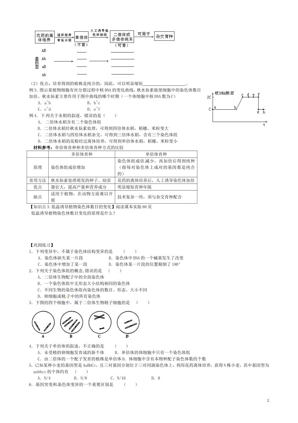 高中生物《5.2 染色体变异》学案 新人教版必修2-新人教版高一必修2生物学案_第2页