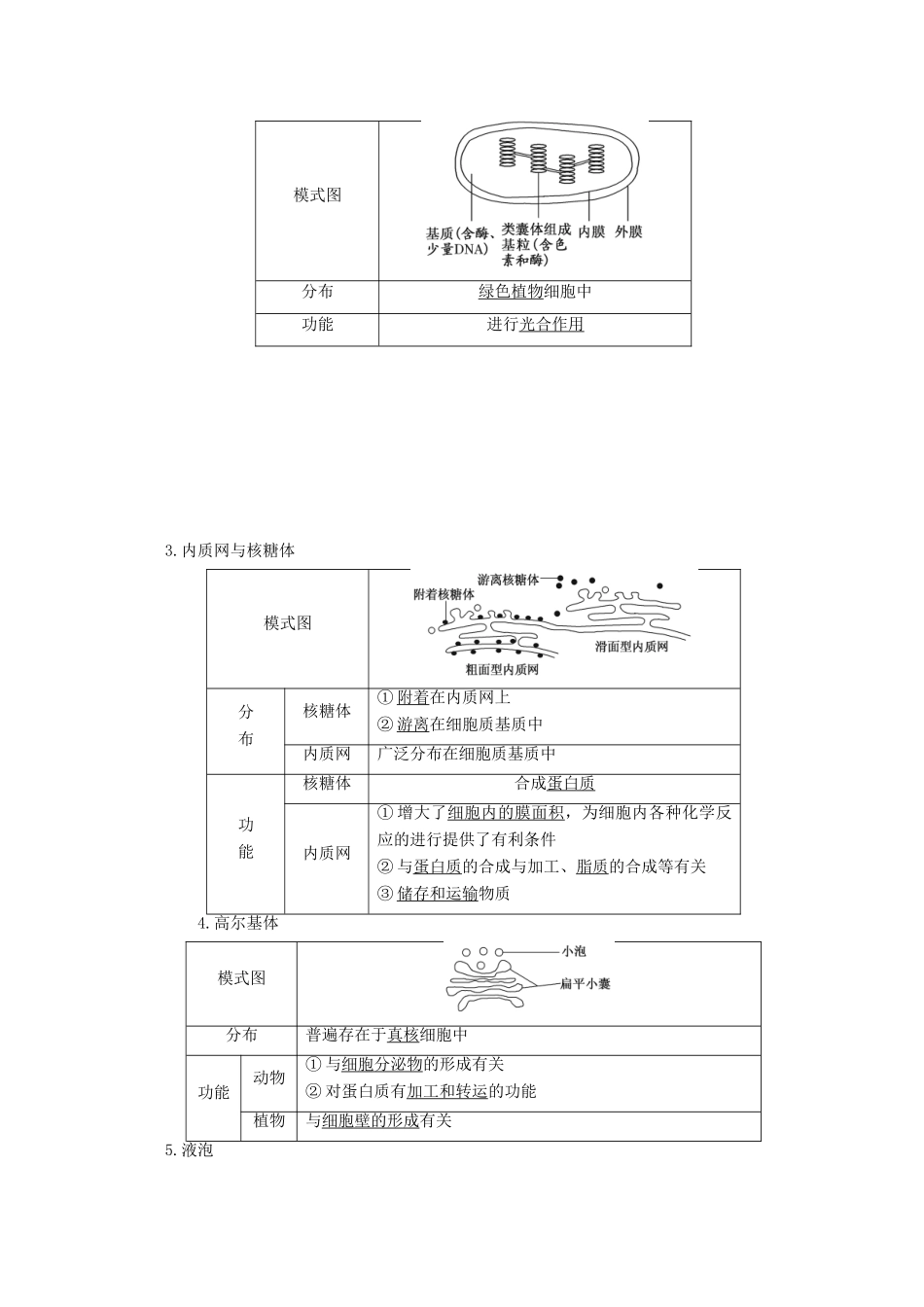 高中生物 第三章 细胞的结构和功能 第二节 细胞的类型和结构 第2课时 细胞质和细胞器学案 苏教版必修1-苏教版高一必修1生物学案_第2页