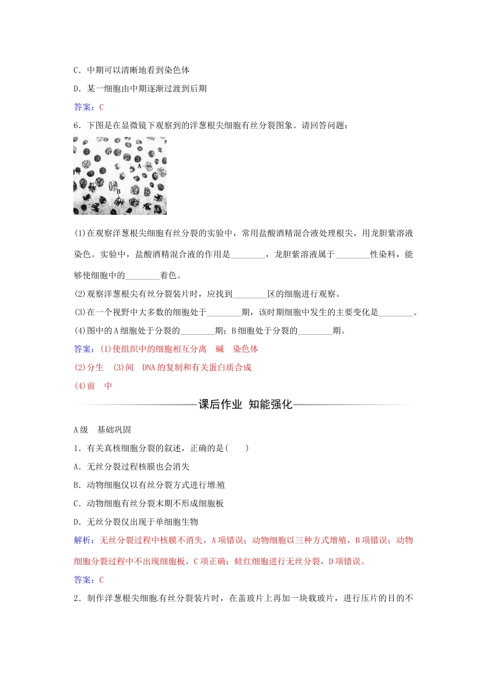高中生物 第6章 第1节 动植物细胞有丝分裂的区别和观察根尖分生组织细胞的有丝分裂（第2课时）练习 新人教版必修1-新人教版高一必修1生物学案_第2页