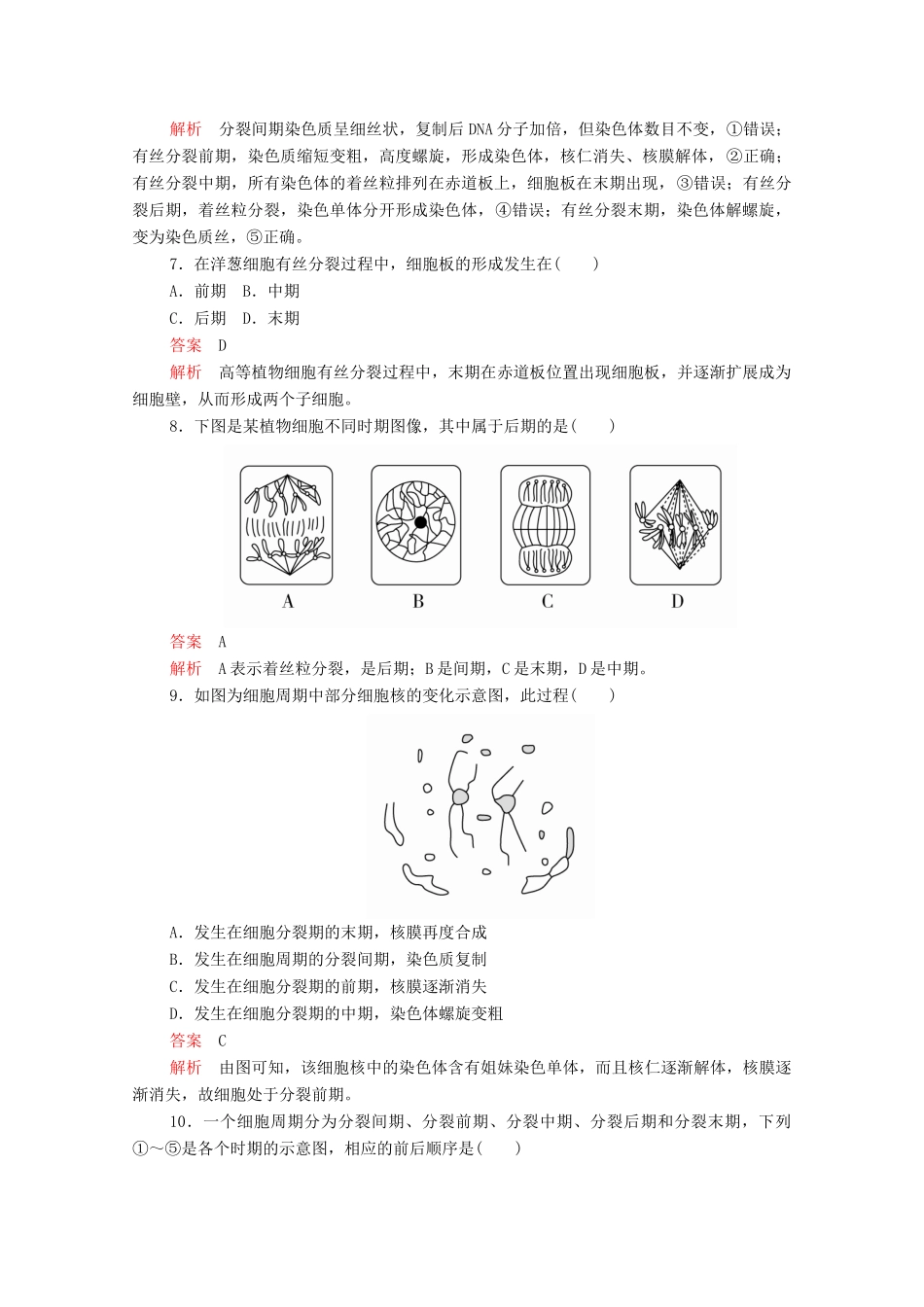高中生物 第6章 第1节 第一课时 细胞周期及高等植物细胞有丝分裂过程学案 新人教版必修1-新人教版高中必修1生物学案_第3页