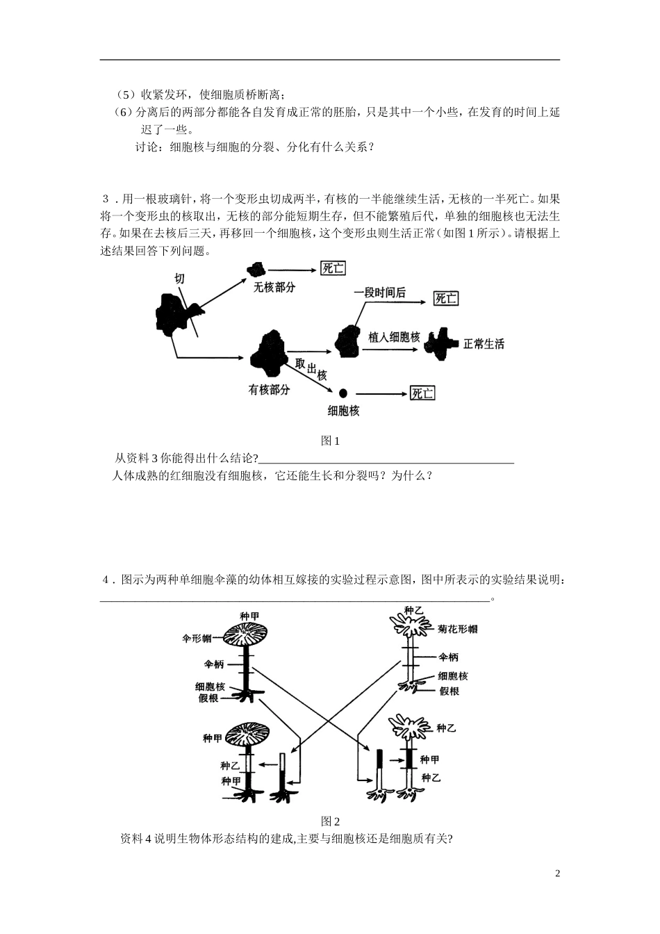 高中生物《细胞核》学案4 浙教版必修1_第2页