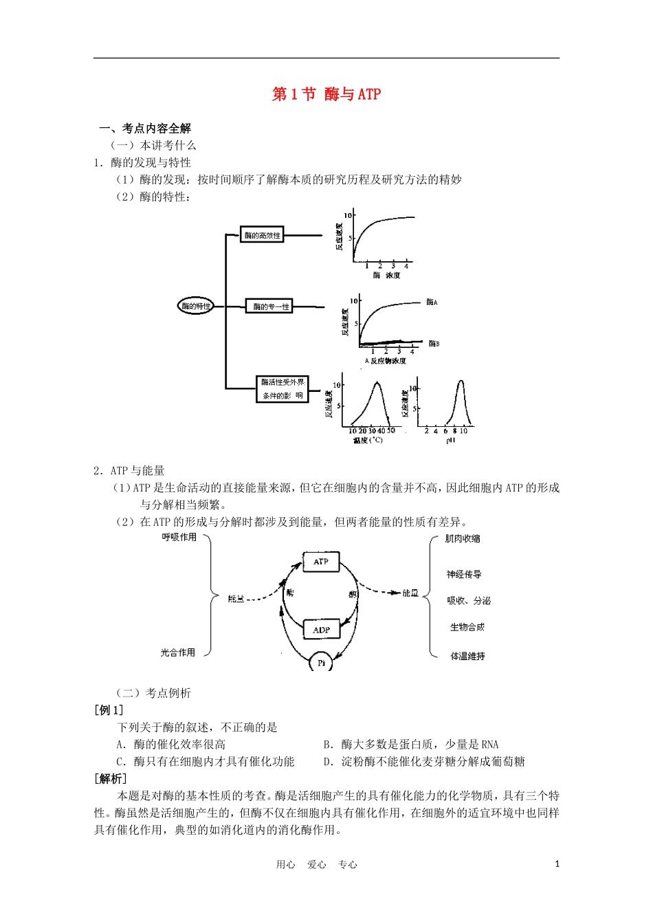 高中生物《ATP和酶》学案4 苏教版必修1_第1页