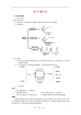 高中生物《ATP和酶》学案4 苏教版必修1