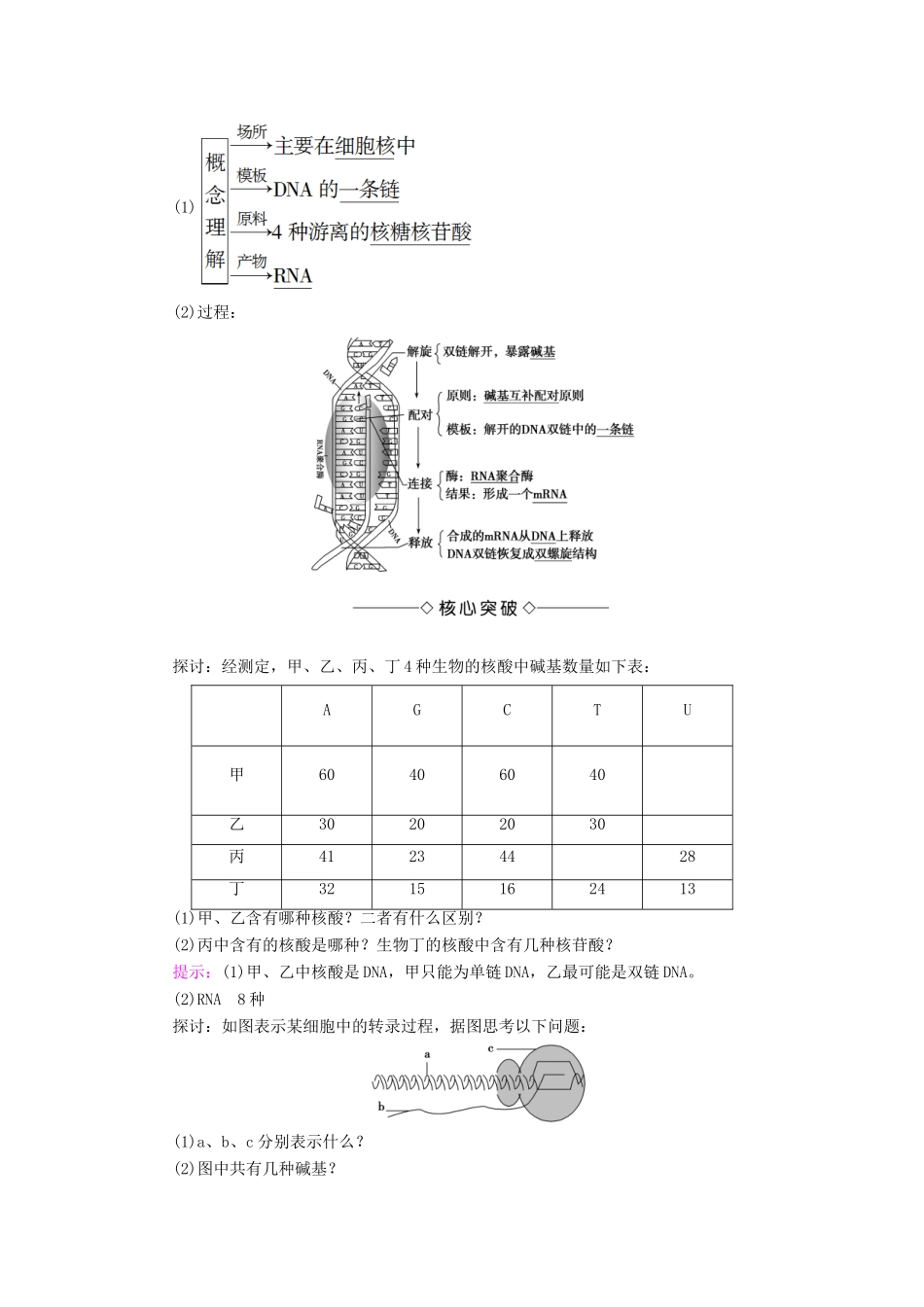 高中生物 第四章 基因的表达 第1节 基因指导蛋白质的合成学案 新人教版必修2-新人教版高一必修2生物学案_第2页