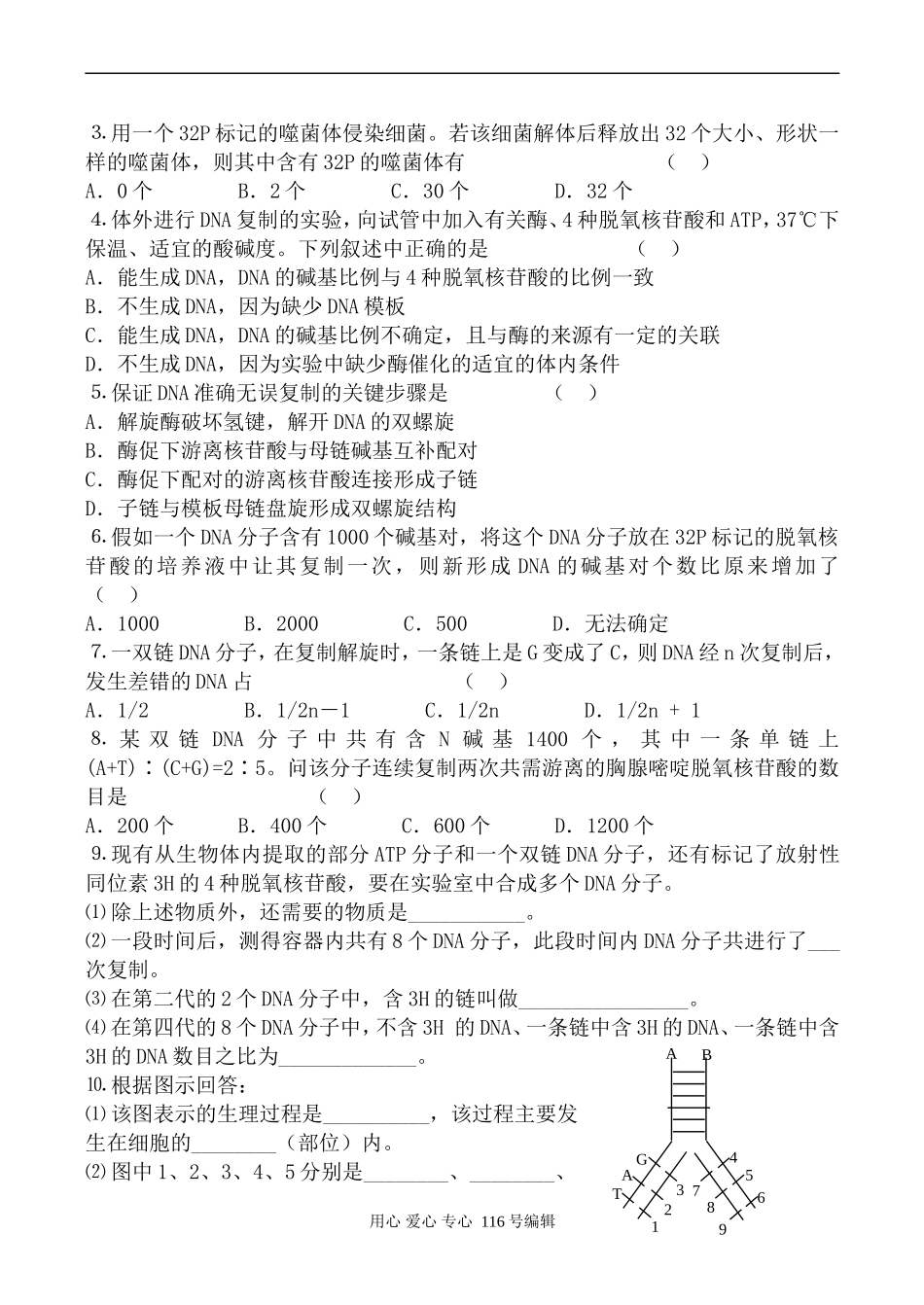 高中生物人教版必修2DNA的复制 学案_第2页