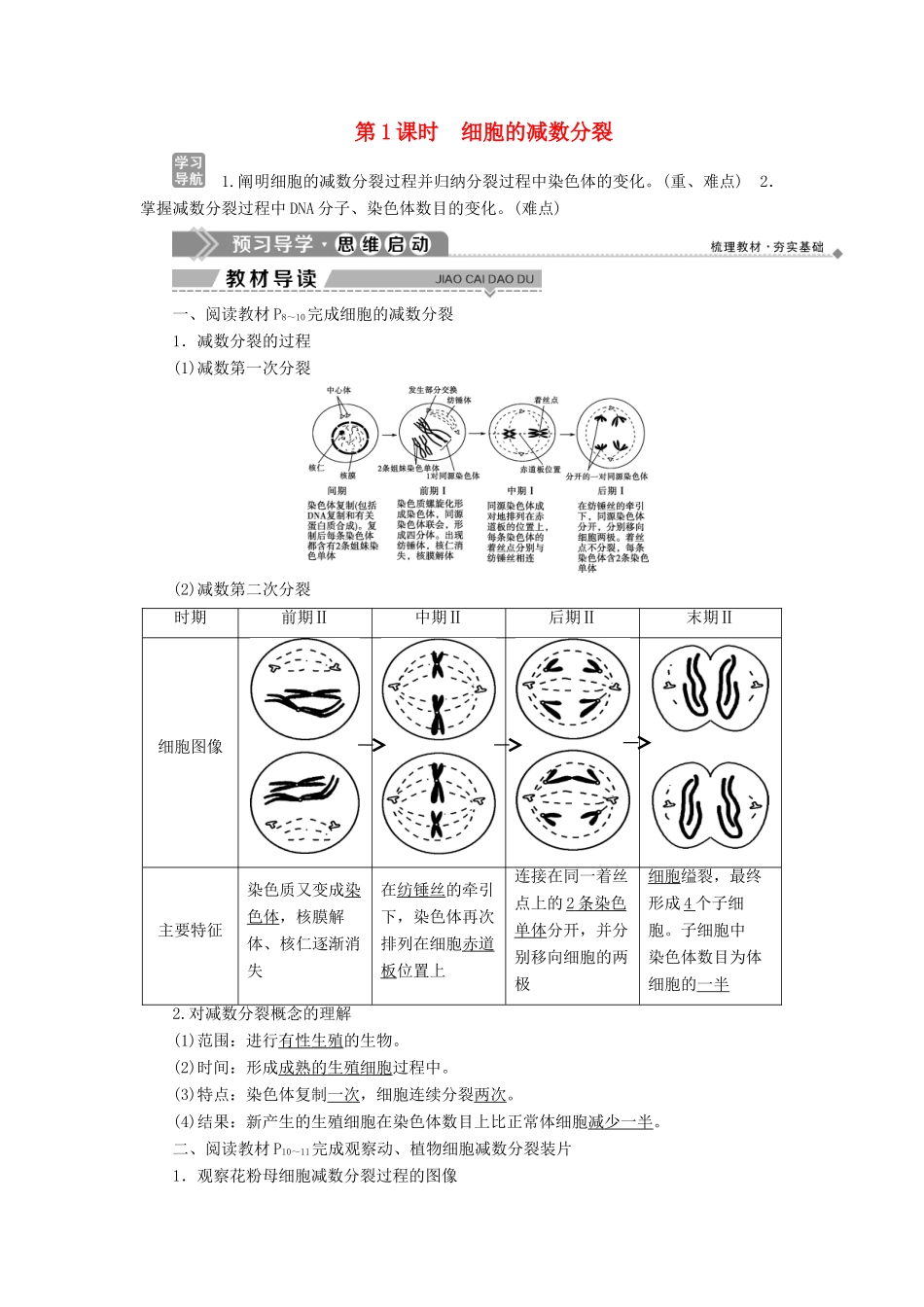 高中生物 第二章 减数分裂和有性生殖 第一节 减数分裂 第1课时 细胞的减数分裂学案 苏教版必修2-苏教版高一必修2生物学案_第1页