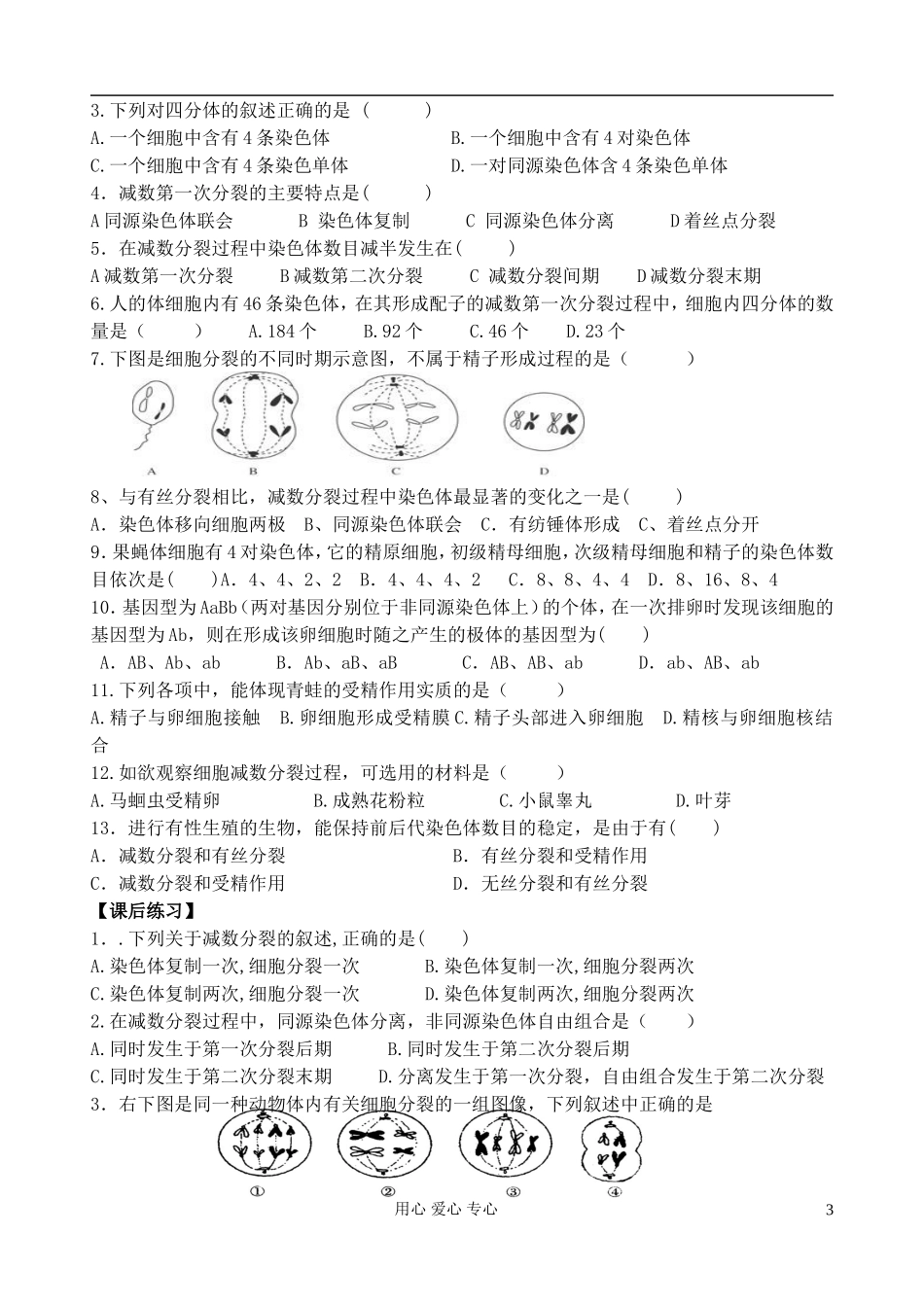 高中生物《减数分裂和受精作用》学案4 新人教版必修2_第3页