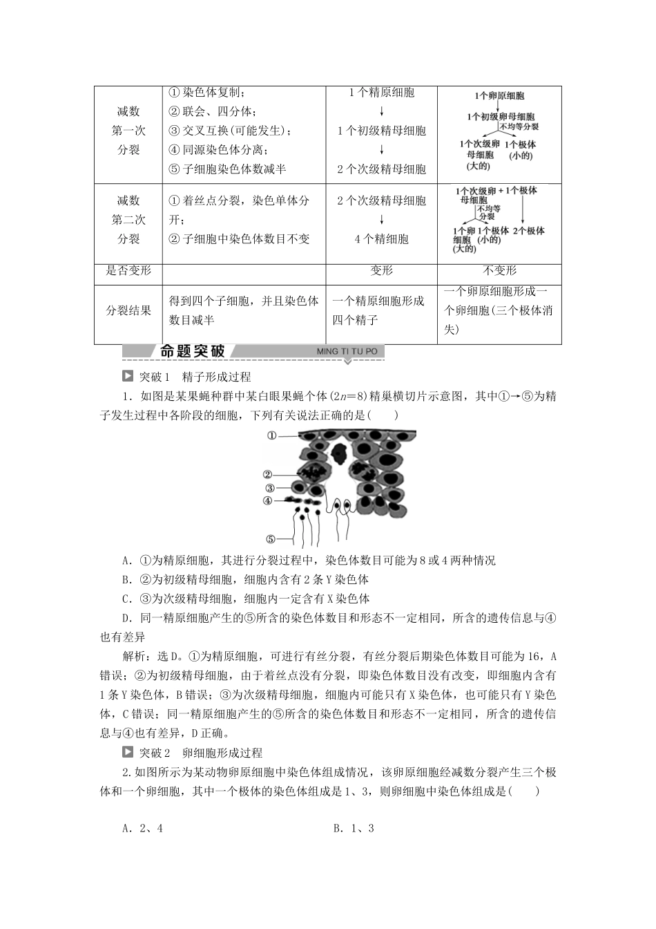 高中生物 第二章 减数分裂和有性生殖 第一节 减数分裂 第2课时 生殖细胞的形成学案 苏教版必修2-苏教版高一必修2生物学案_第3页