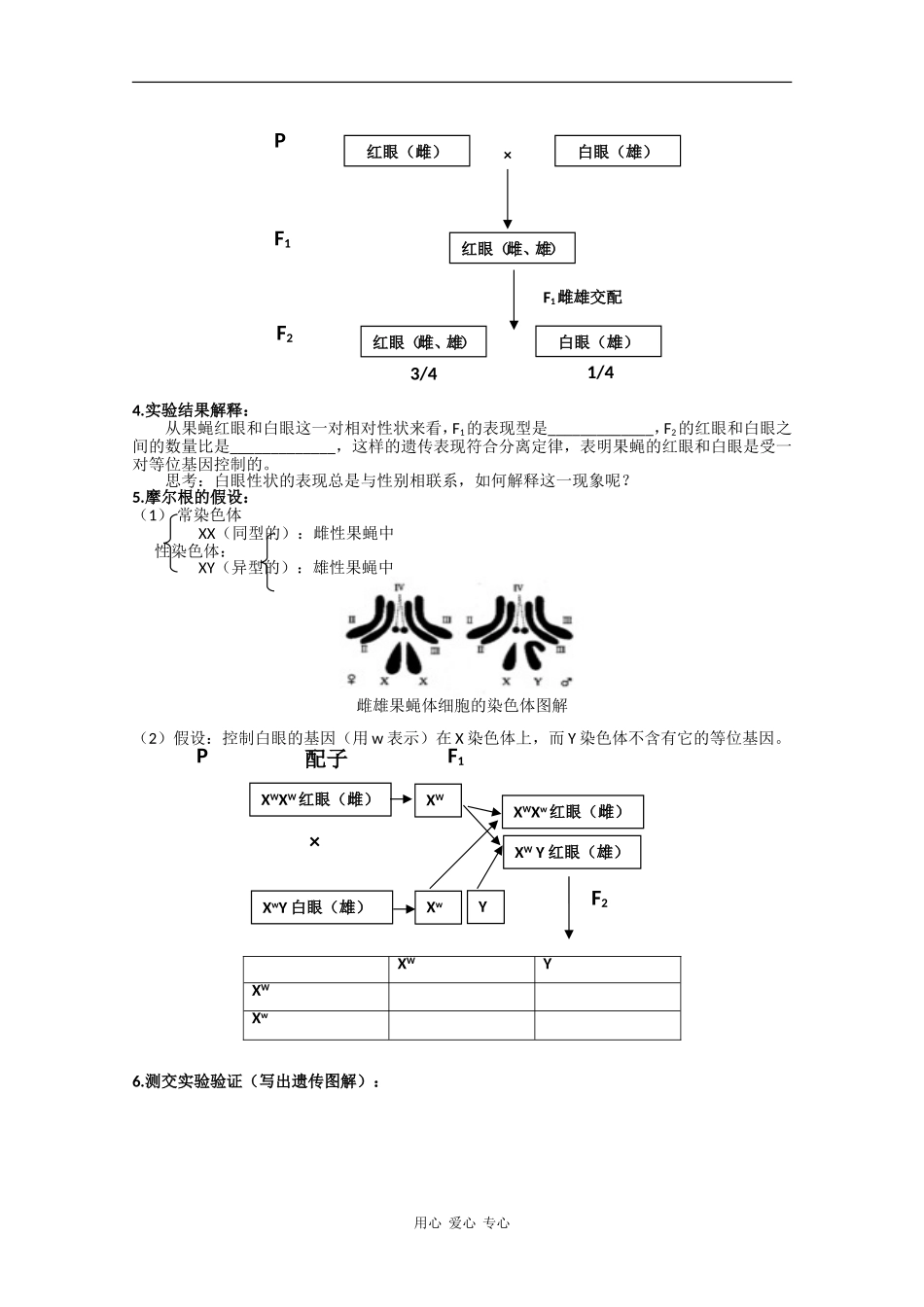 高中生物：2.2 基因在染色体上 学案 新人教版必修2_第2页