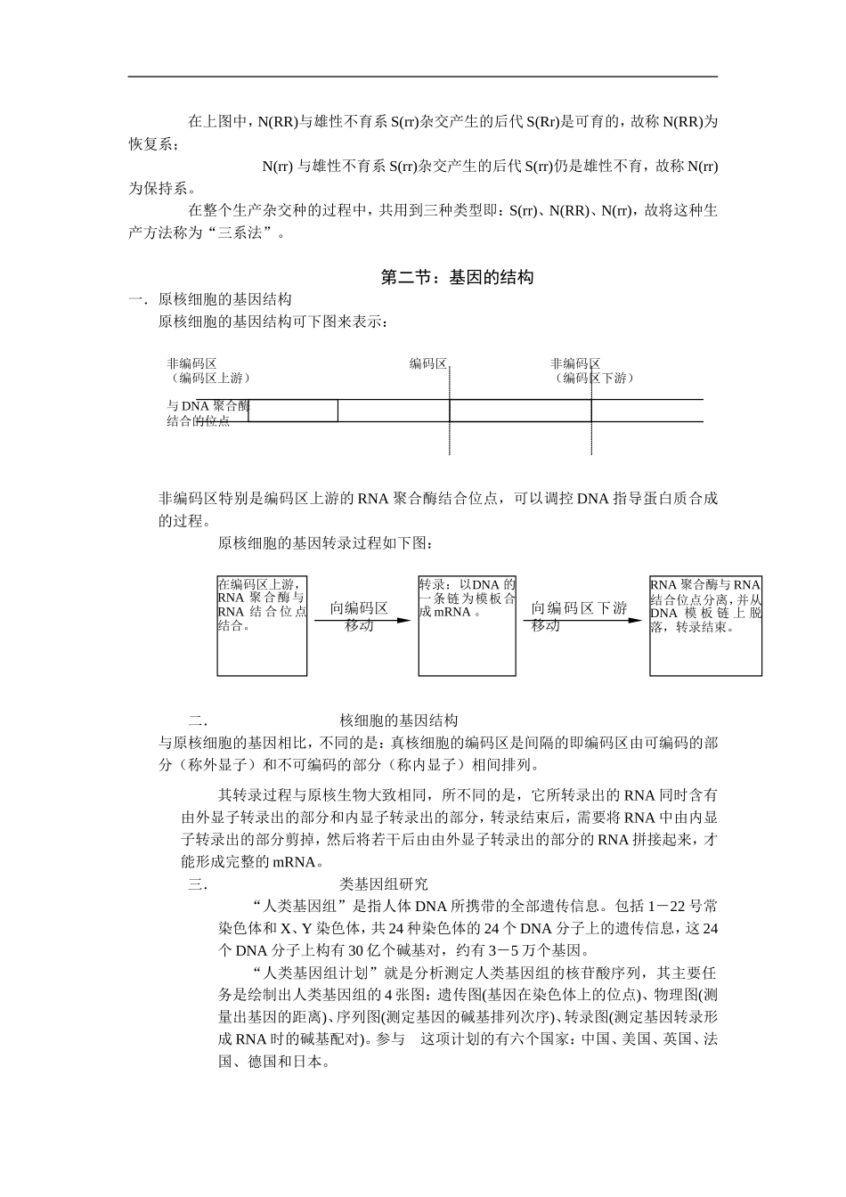 高中生物细胞质遗传和基因结构复习学案_第3页