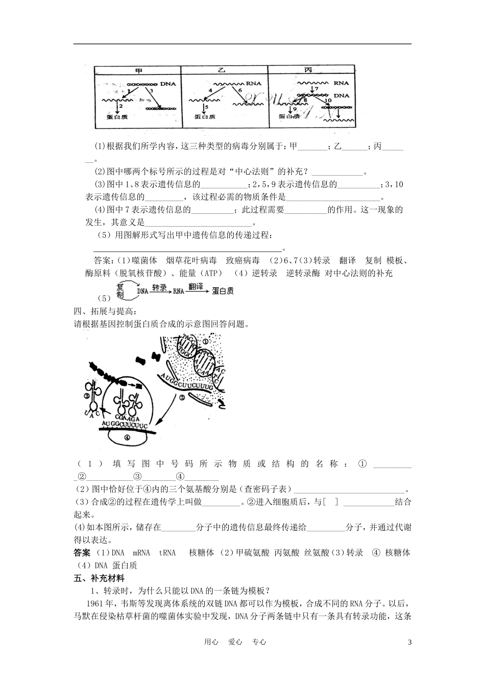 高中生物《基因的表达》学案5 中图版必修2_第3页