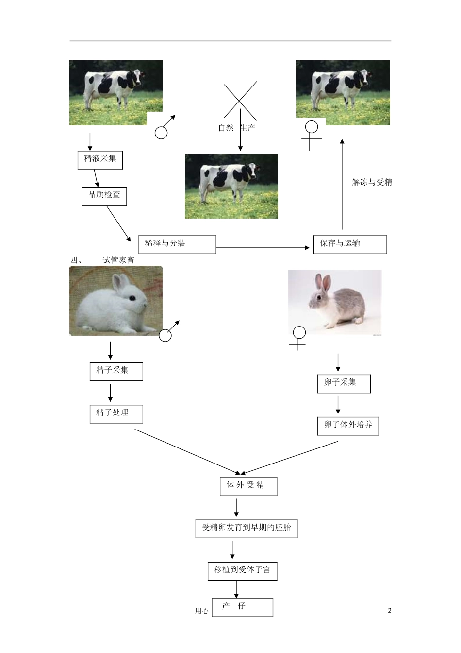 高中生物《农业生产中的繁殖控制技术》学案1 新人教版选修2_第2页