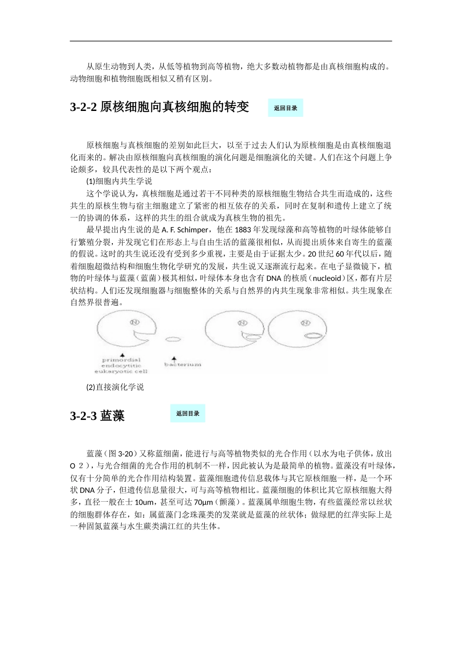 高中生物3[1].2《细胞的类型和结构》学案（1）苏教版必修1_第2页