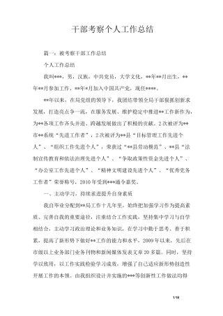 干部考察个人工作总结