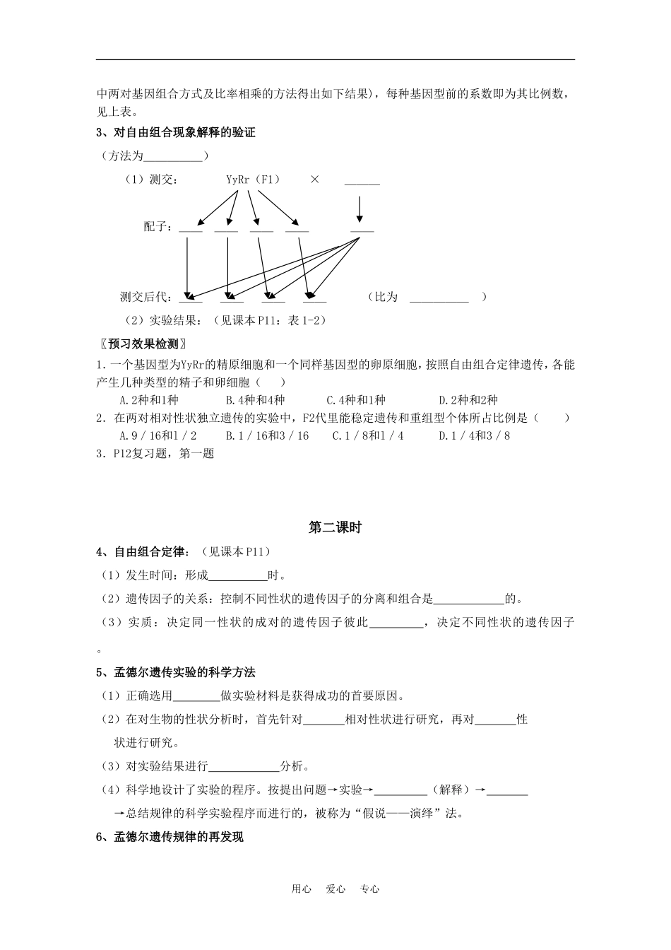 高中生物：1.2《孟德尔的豌豆杂交实验（二）》学案（2）（新人教版必修2）_第3页
