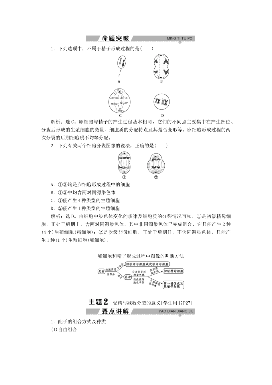 高中生物 第二章 染色体与遗传 第一节 减数分裂中的染色体行为 第2课时 精子与卵细胞的产生和受精 减数分裂的意义学案 浙科版必修2-浙科版高一必修2生物学案_第3页