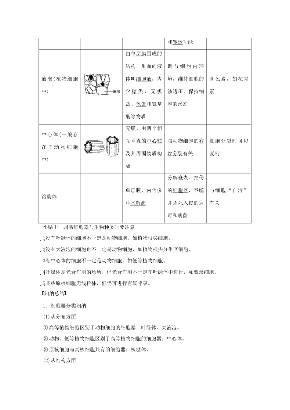 高中生物 第三章 第8课时 细胞质和细胞器课时作业 苏教版必修1-苏教版高一必修1生物学案_第3页