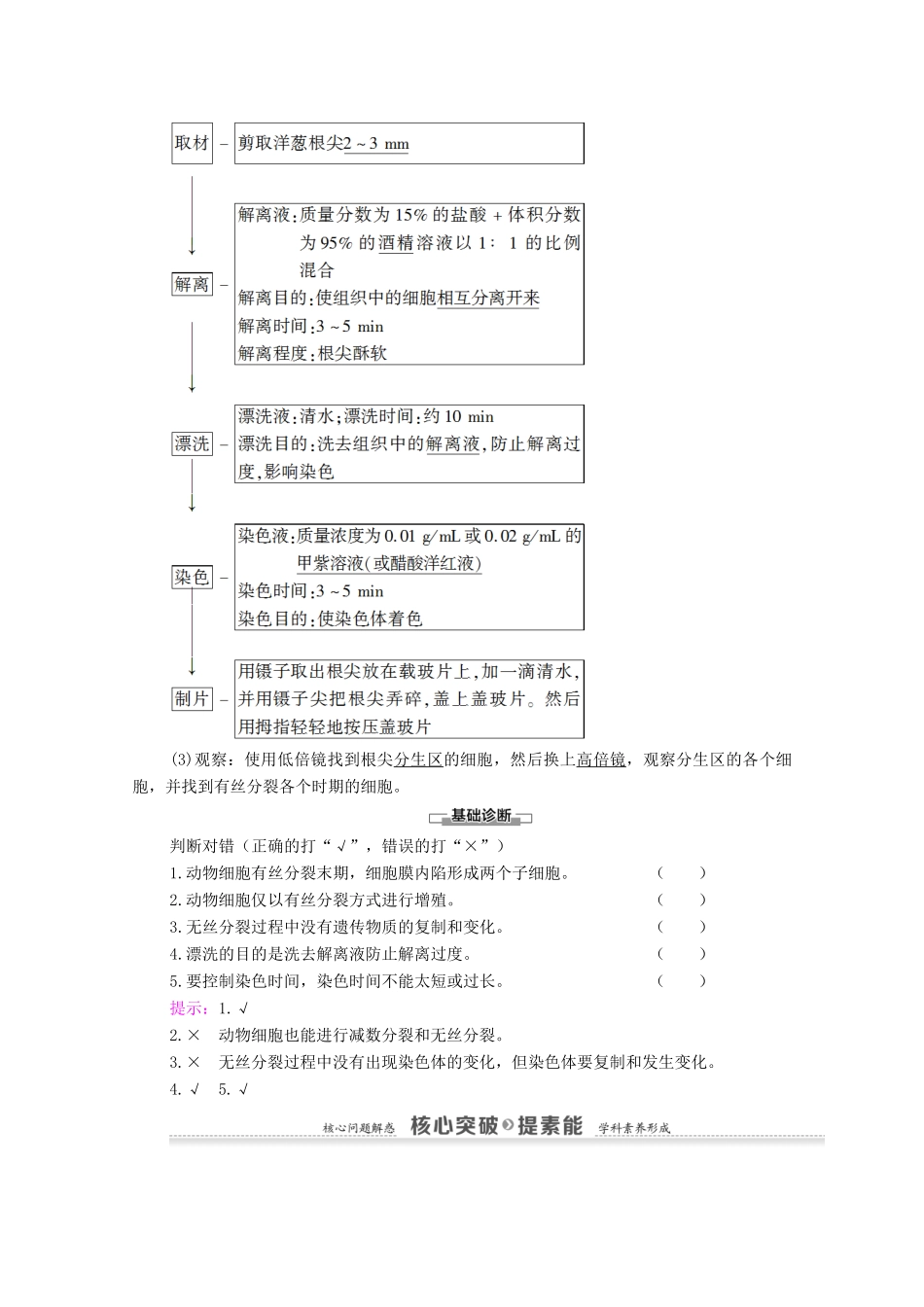 高中生物 第6章 细胞的生命历程 第1节 第2课时 动物细胞的有丝分裂、观察根尖分生区组织细胞的有丝分裂学案 新人教版必修1-新人教版高中必修1生物学案_第2页