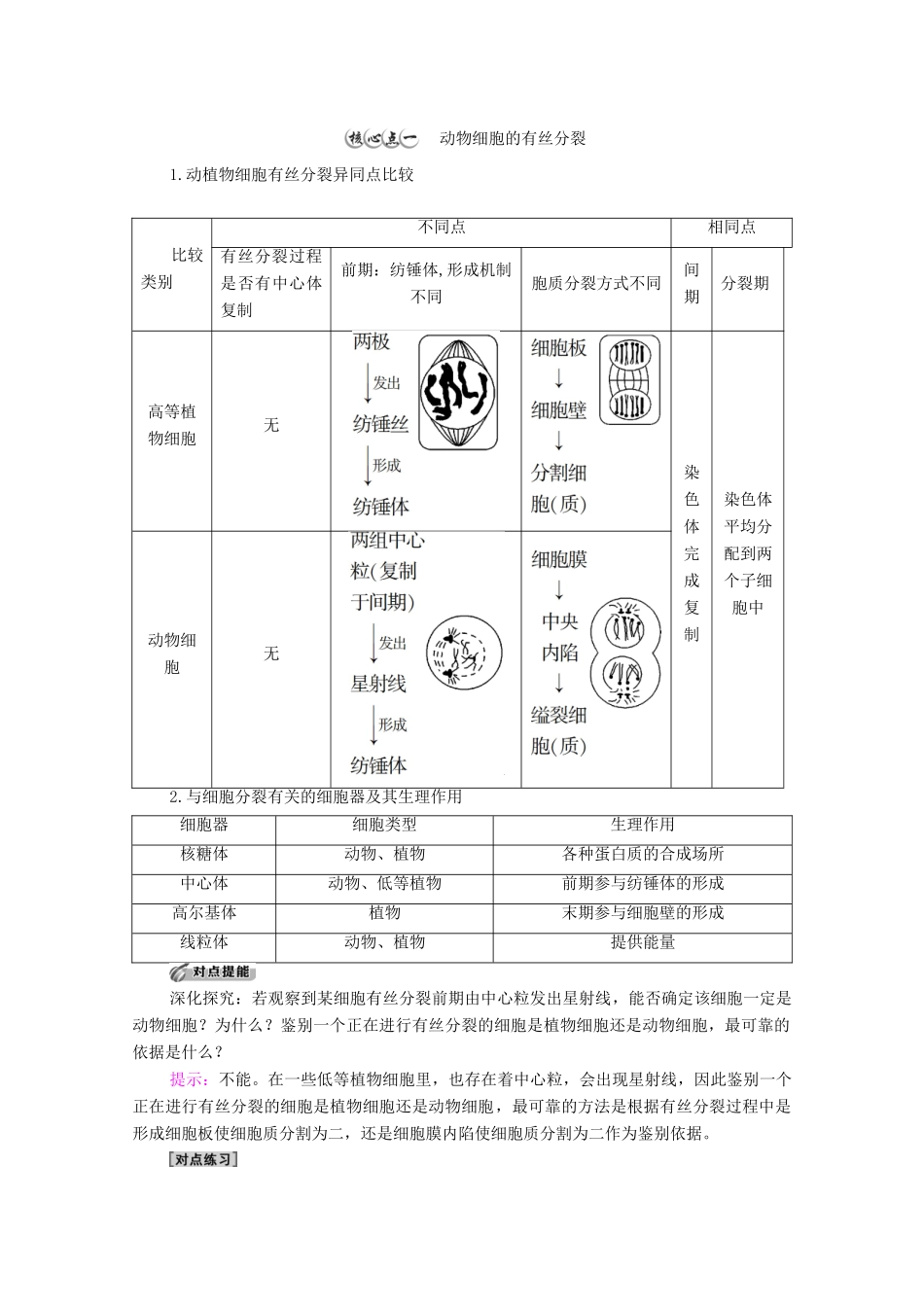 高中生物 第6章 细胞的生命历程 第1节 第2课时 动物细胞的有丝分裂、观察根尖分生区组织细胞的有丝分裂学案 新人教版必修1-新人教版高中必修1生物学案_第3页