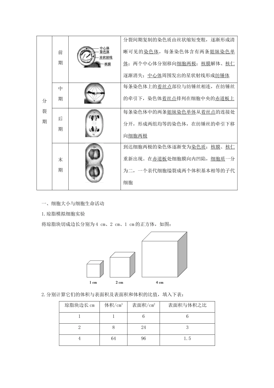 高中生物 第五章 细胞增殖、分化、衰老和死亡 5.1.1 细胞周期与动物细胞的有丝分裂学案 新人教版必修1-新人教版高一必修1生物学案_第2页