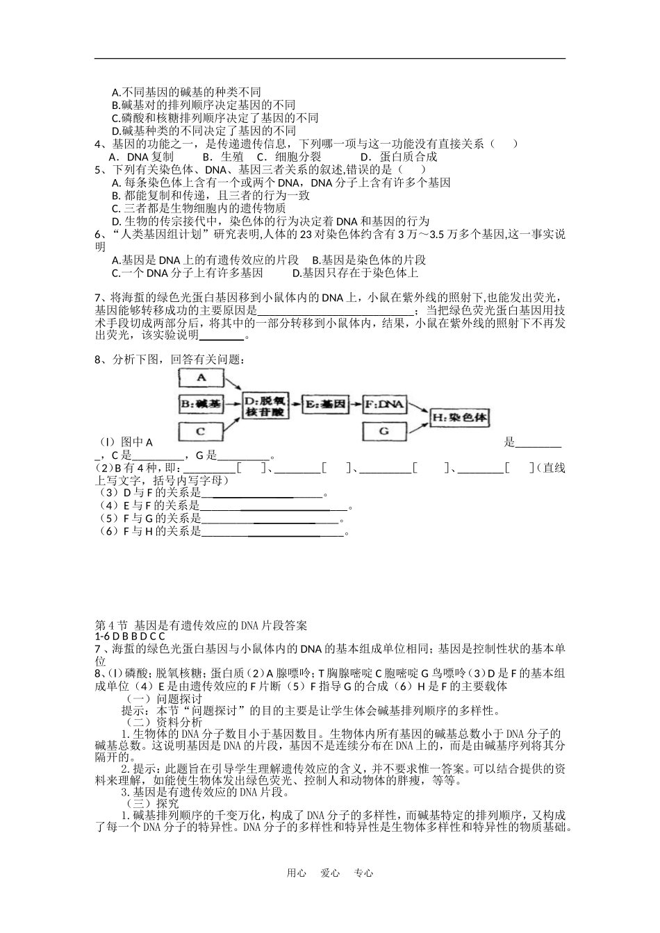 高中生物：3.4《基因是有遗传效应的DNA片段》学案（新人教版必修2）_第2页