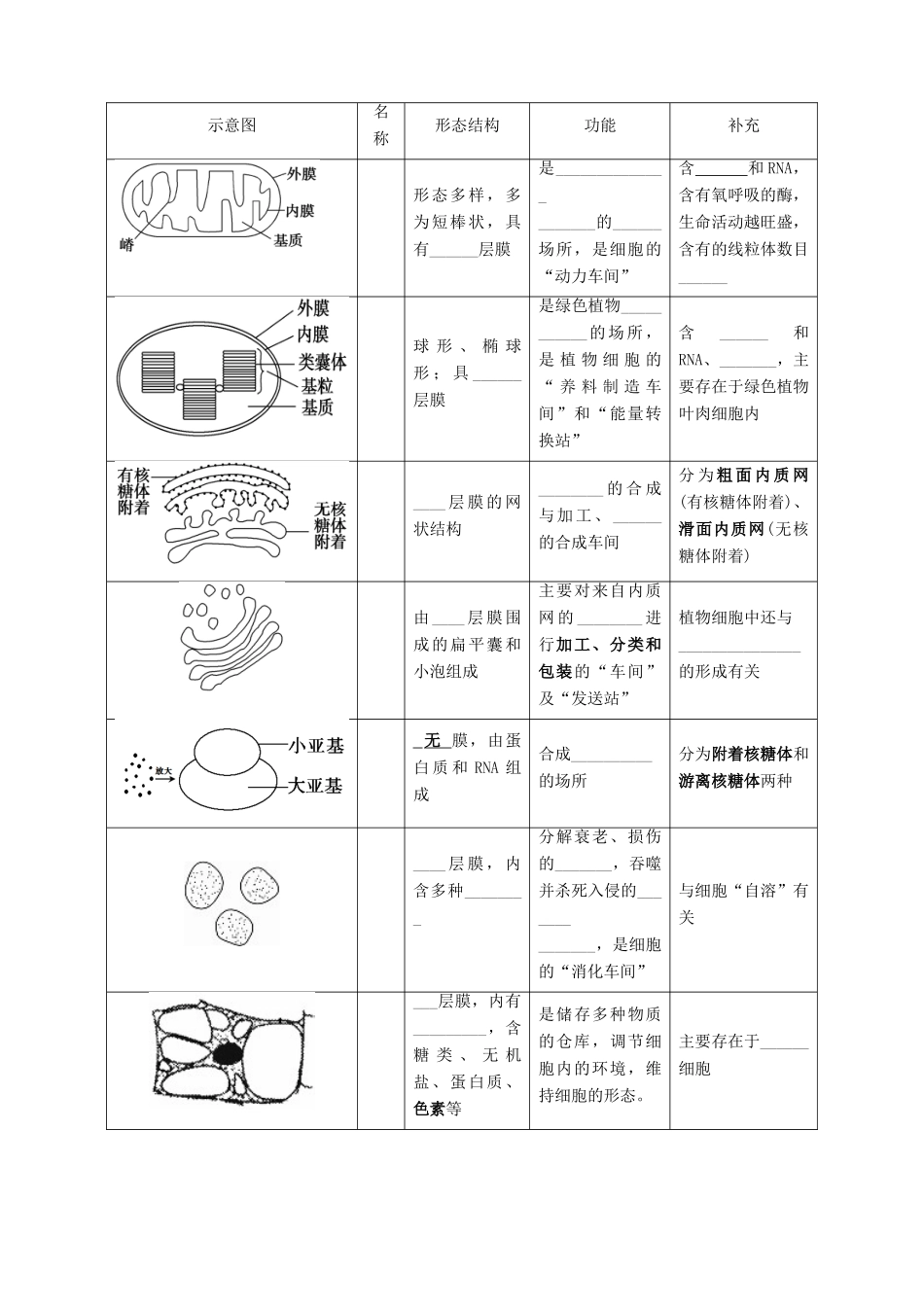 高中生物 第三章 细胞的基本结构 3.2 细胞器-系统内的分工合作学案1 新人教版必修1-新人教版高一必修1生物学案_第2页