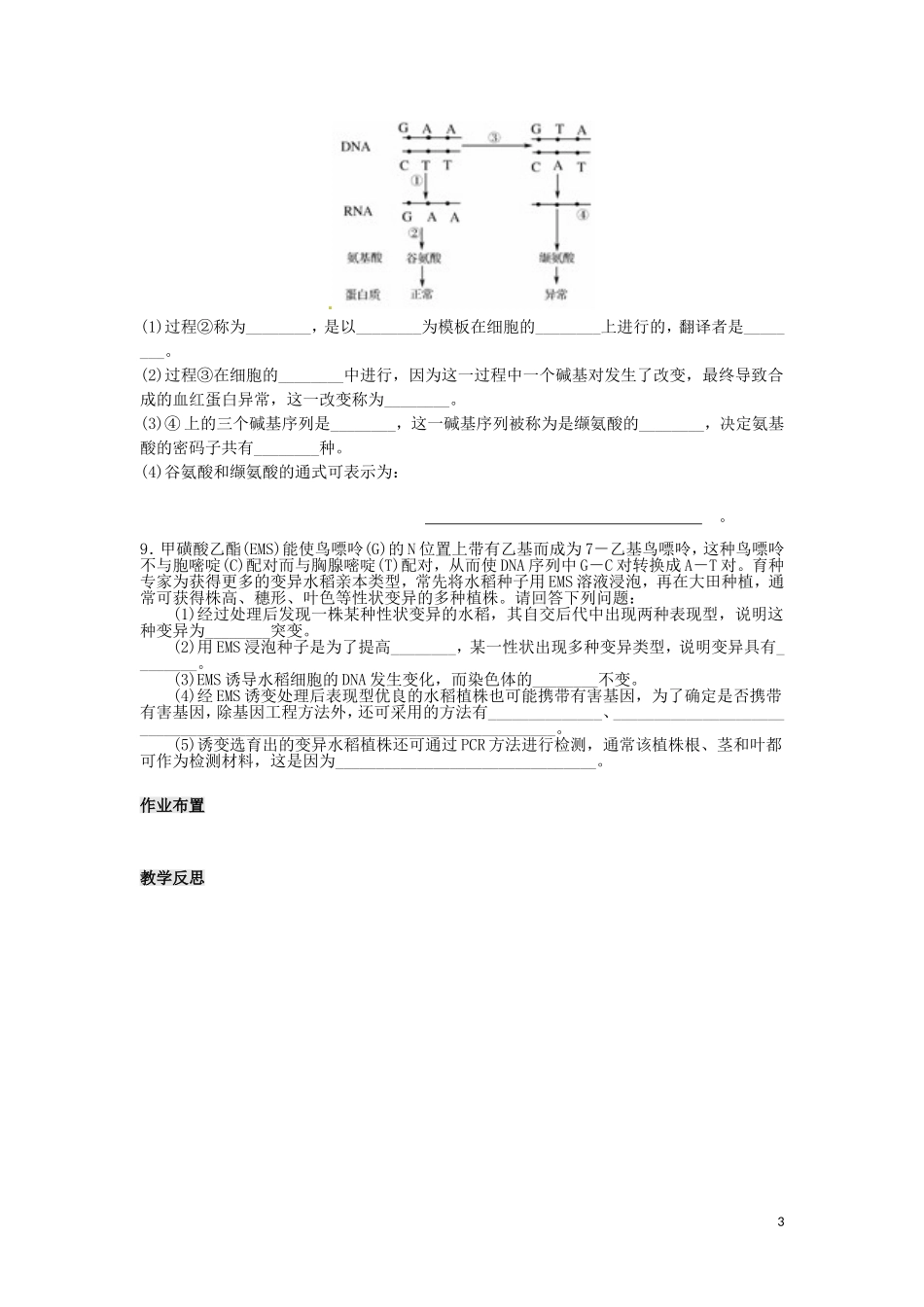 高中生物 第五章第一节 基因突变与基因重组第2课时导学案 新人教版必修2_第3页