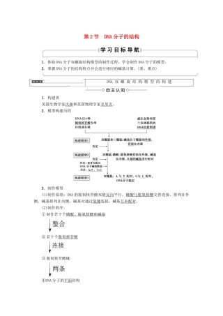 高中生物 第三章 基因的本质 第2节 DNA分子的结构学案 新人教版必修2-新人教版高一必修2生物学案