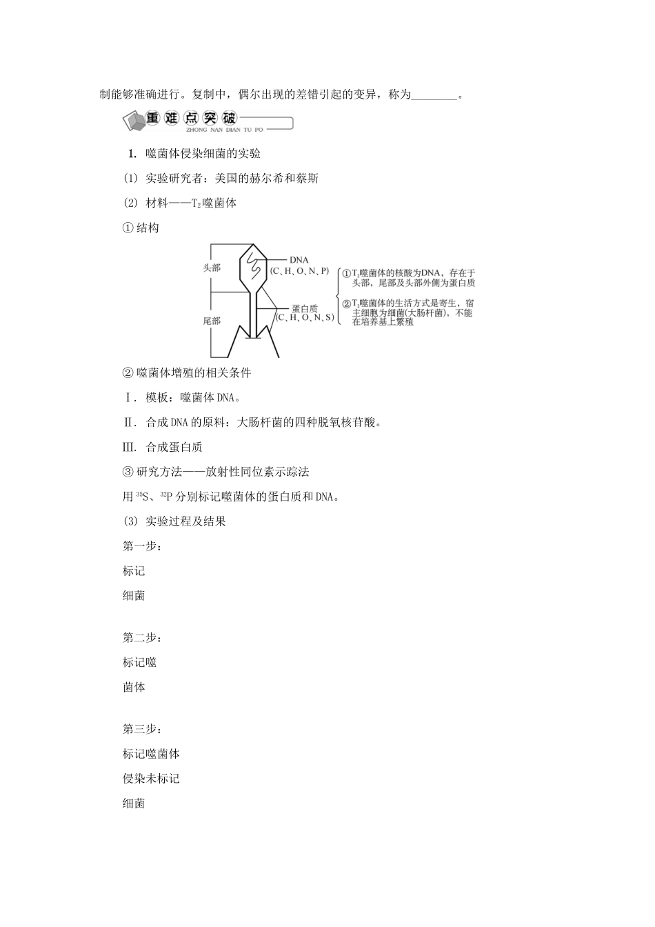 高中生物 第十二讲 DNA是主要的遗传物质学案 苏教版必修2-苏教版高二必修2生物学案_第3页