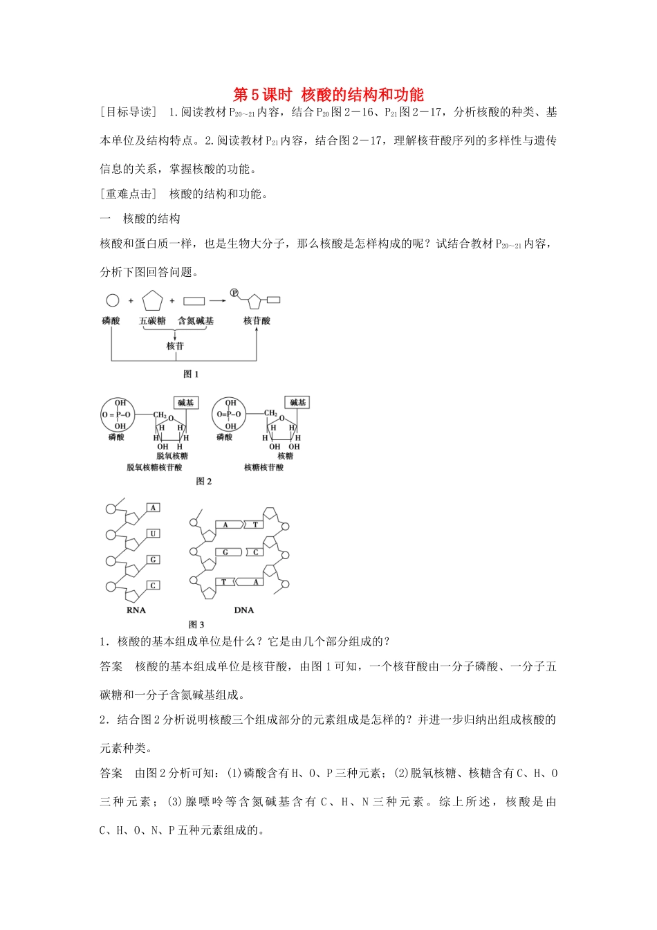 高中生物 第二章 第5课时 核酸的结构和功能课时作业 苏教版必修1-苏教版高一必修1生物学案_第1页