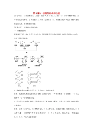 高中生物 第二章 第5课时 核酸的结构和功能课时作业 苏教版必修1-苏教版高一必修1生物学案