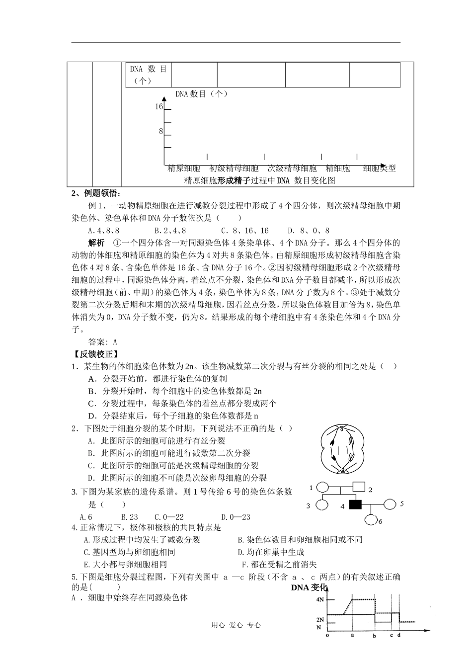 高中生物：受精作用学案导学 新人教版必修2_第3页