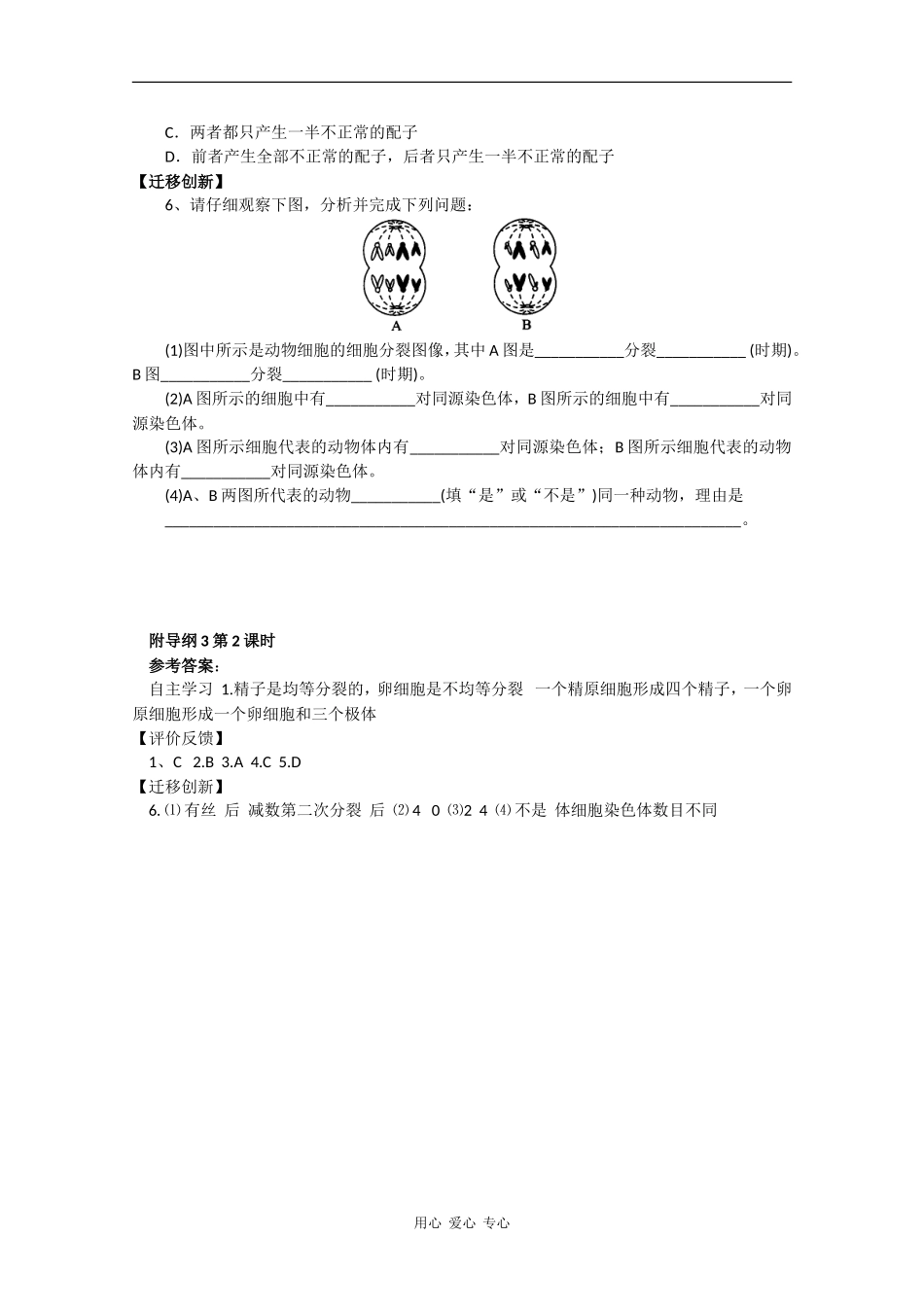 高中生物：2.1 减数分裂中的染色体行为第2课时 学案 浙科版必修2_第3页