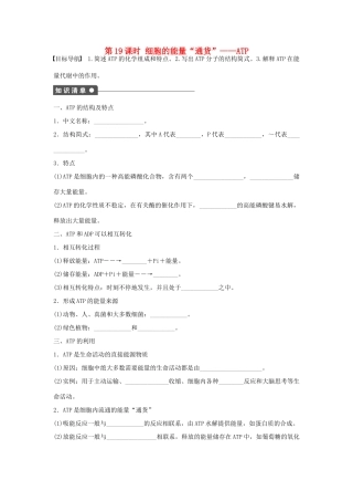 高中生物 第五章 细胞的能量供应和利用 第19课时 细胞的能量“通货”——ATP课时作业 新人教版必修1-新人教版高一必修1生物学案