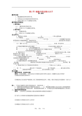 高中生物《细胞中的生物大分子》学案1 苏教版必修1