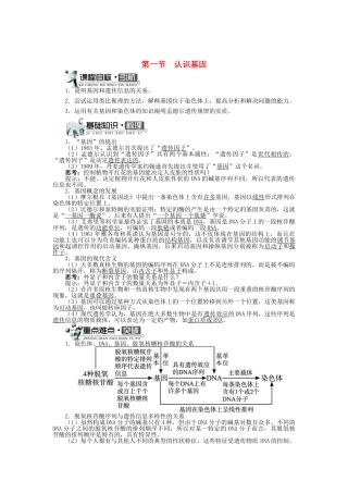 高中生物 第三单元 第二章 第一节 认识基因学案（含解析）中图版必修2-中图版高中必修2生物学案