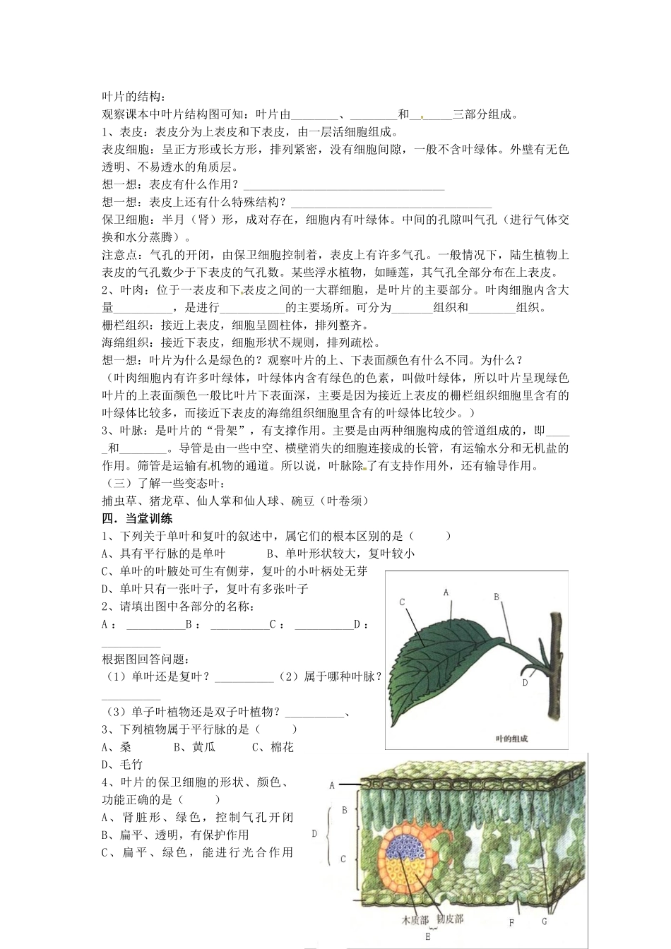 八年级科学上册 6.1绿色植物的营养器官第三课时学案（无答案）华东师大版_第2页