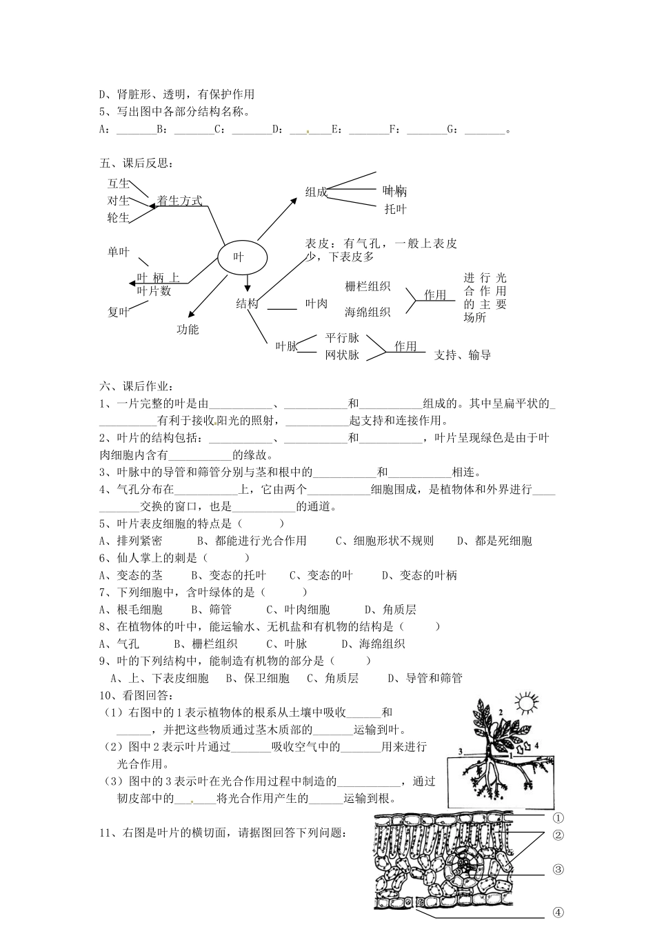 八年级科学上册 6.1绿色植物的营养器官第三课时学案（无答案）华东师大版_第3页