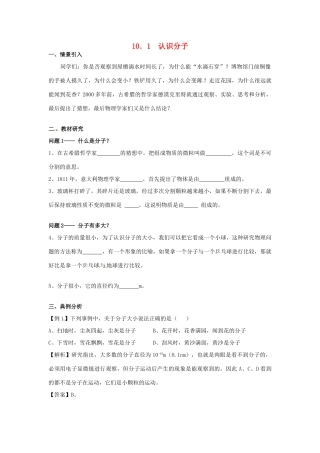广东省惠州市惠东县港口中学八年级物理下册 10.1 认识分子学案 （新版）粤教沪版