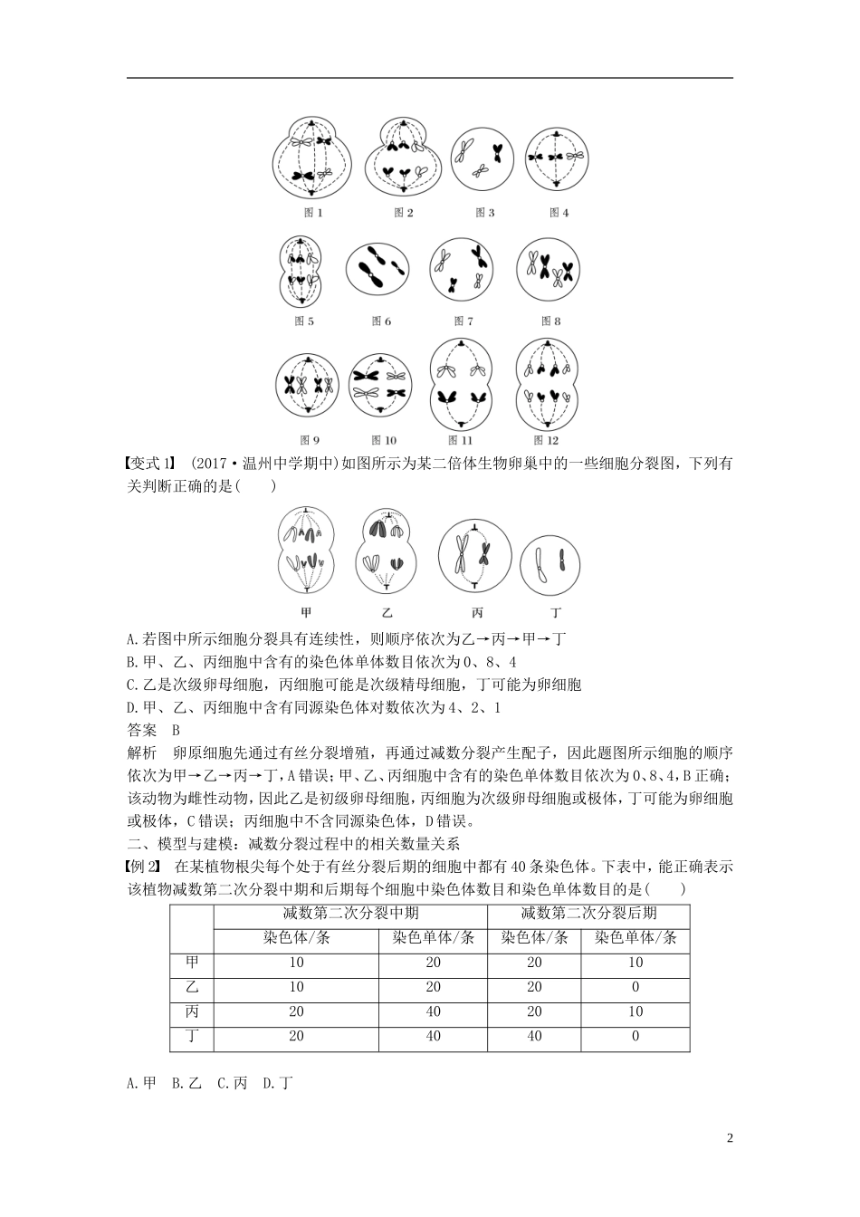 高中生物 第二章 染色体与遗传 微专题三 染色体与遗传的解题方法学案 浙科版必修2-浙科版高一必修2生物学案_第2页