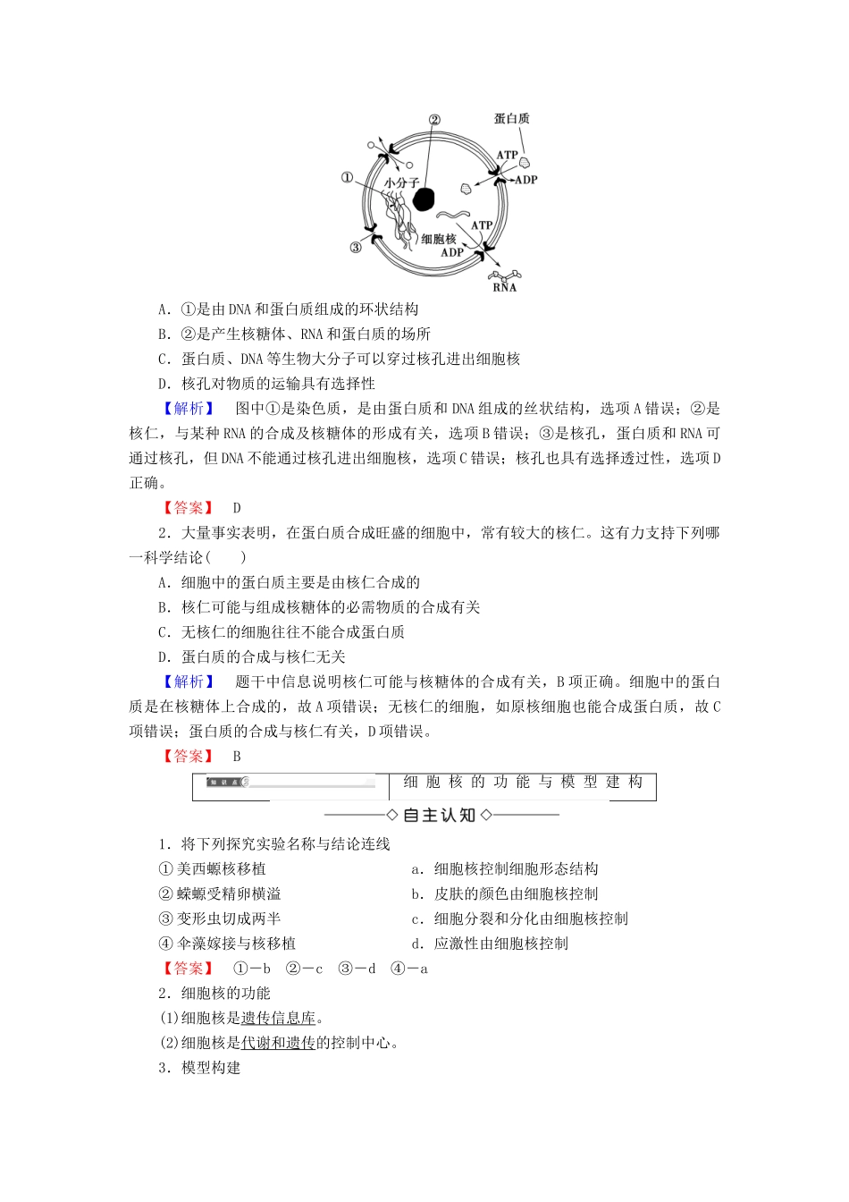 高中生物 第三章 细胞的基本结构 第3节 细胞核——系统的控制中心学案 新人教版必修1-新人教版高一必修1生物学案_第3页