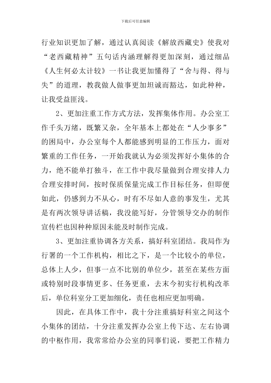 旅游局2024年个人工作总结_第2页