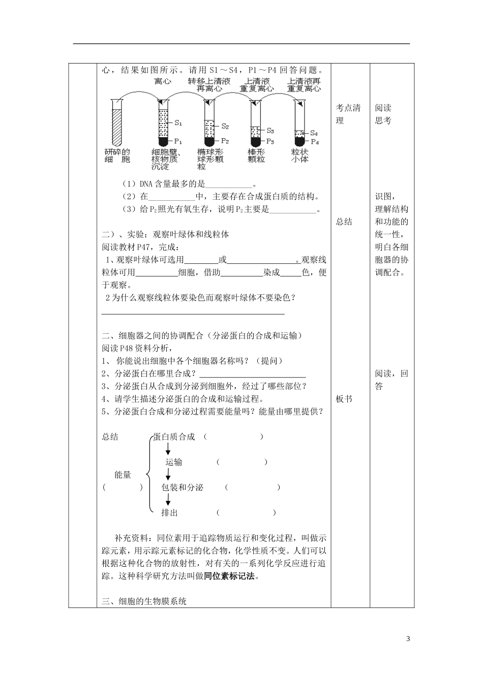 高中生物 第三章 细胞的基本结构 第二节 细胞器——系统内的分工合作学案 新人教版必修1-新人教版高一必修1生物学案_第3页